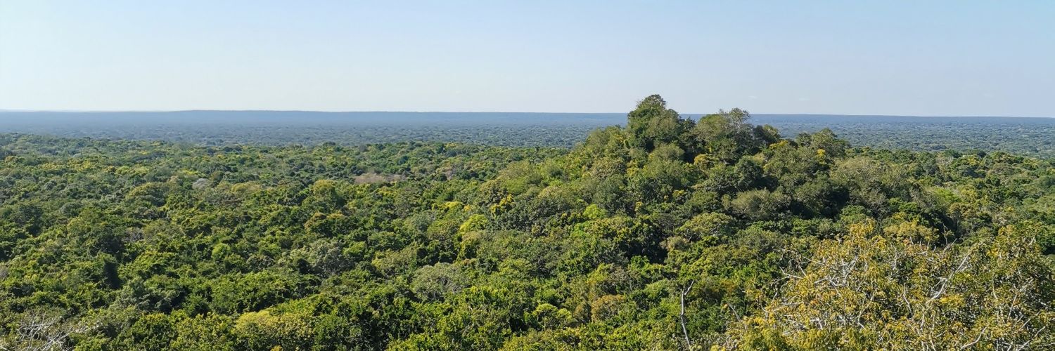 Alejandro Cajiga banner