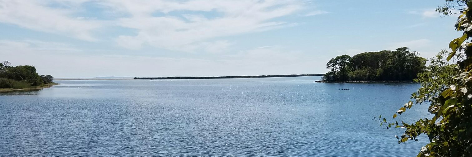 collettecollage's profile banner image