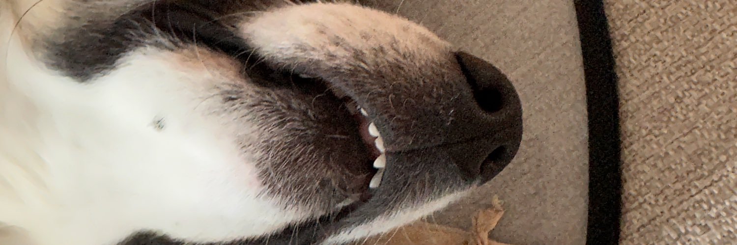 izzetarpaci's profile banner image