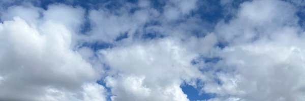 DoWise Profile Banner