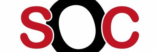 Alternat. Socialista banner