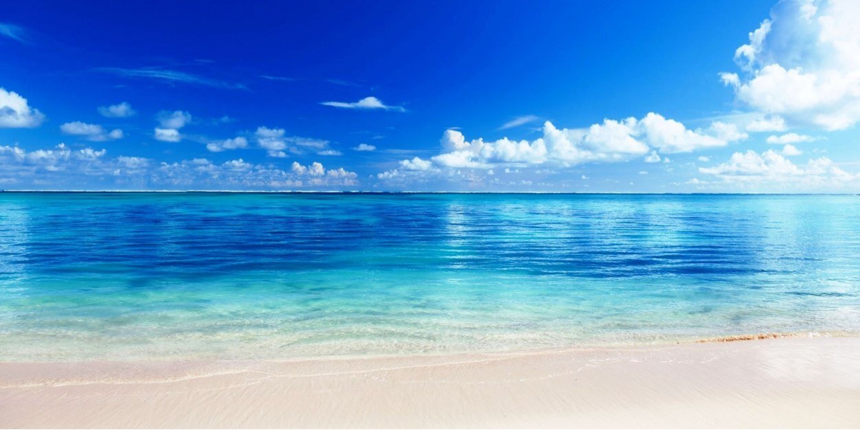 BShellhorn84's profile banner image