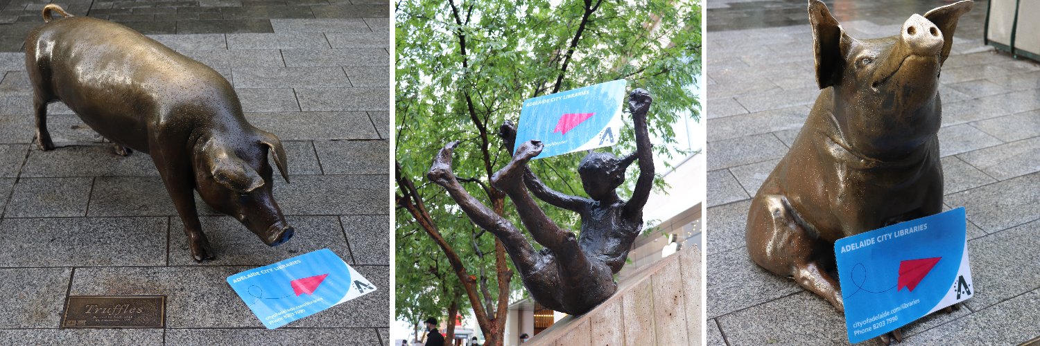 Adelaide City Libraries banner