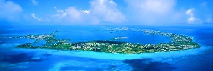 CounterfeitShares banner