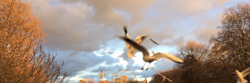 Juliet Samuel banner