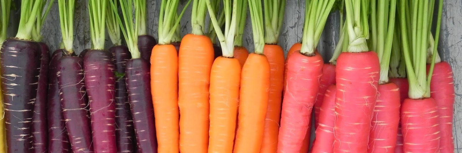 wunderkraut_be's profile banner image