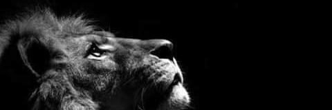 Aristotle_th's profile banner image