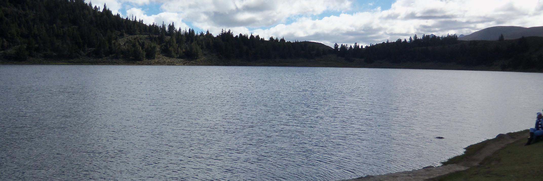 Lisbeth Rojas 🇻🇪Dios con nosotros🇻🇪 banner