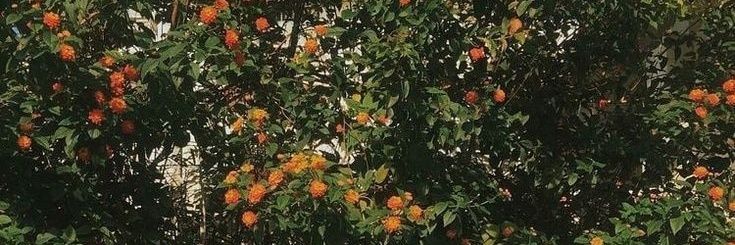 VMroma66's profile banner image