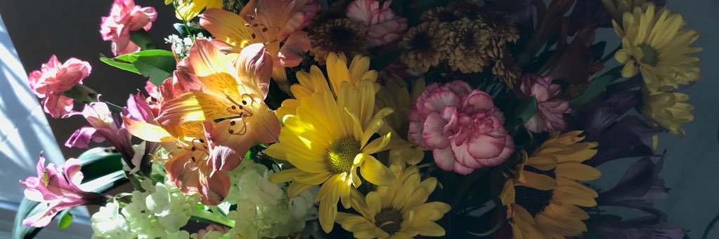 Jo Busch, MD PhD MPhil banner