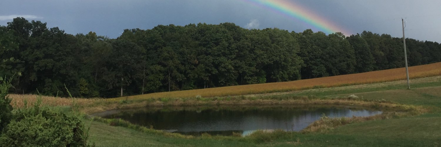 mginther23's profile banner image