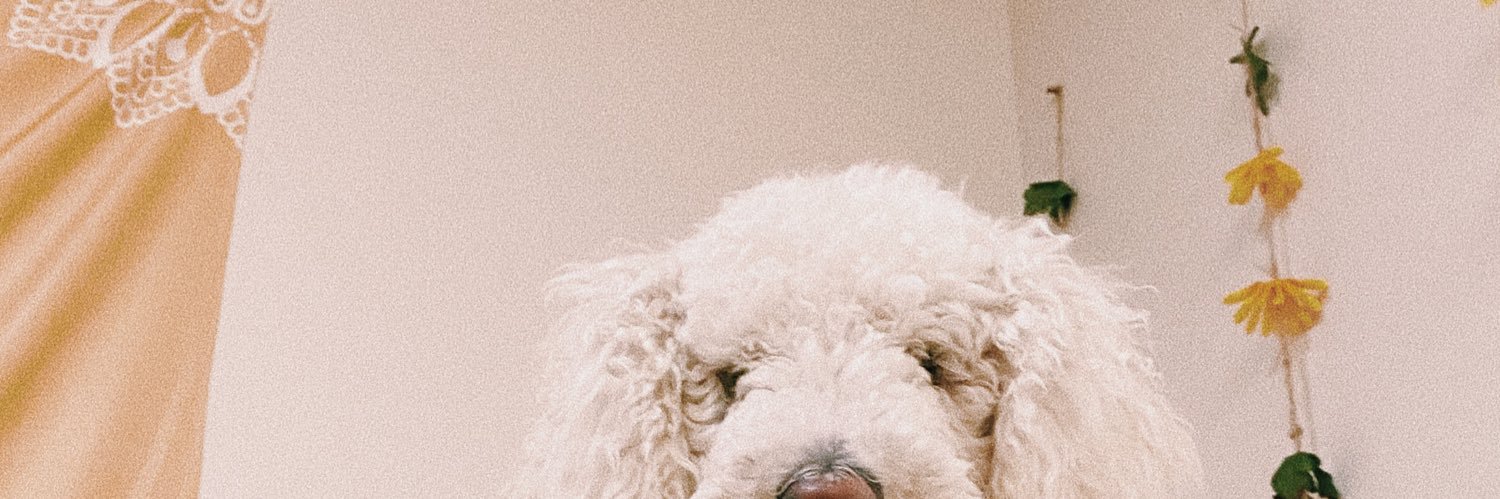 PaytonMaricle's profile banner image