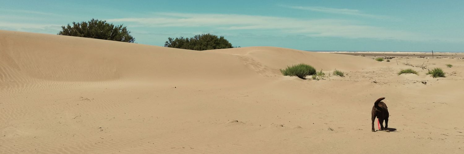 agxrrx's profile banner image