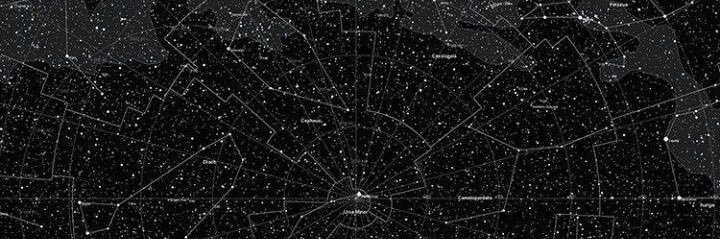 vicky. banner