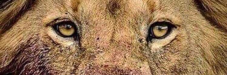 FarellBoy1's profile banner image