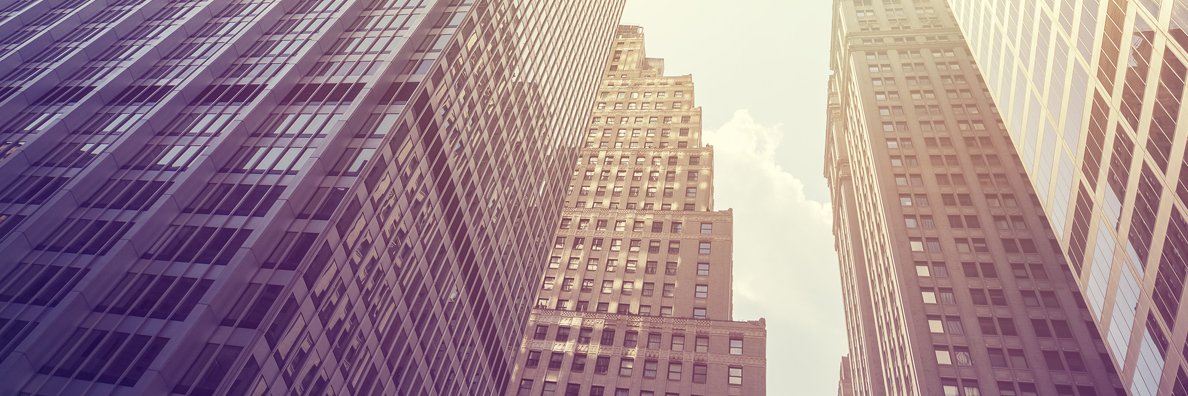 virginiemorgon's profile banner image