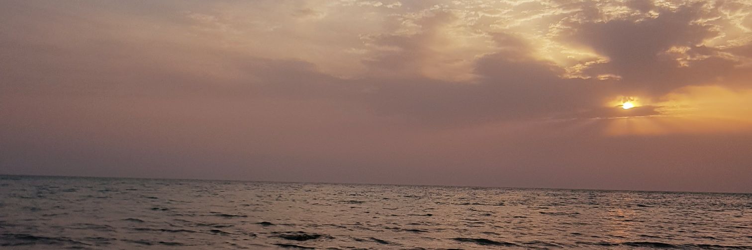 hane0en's profile banner image