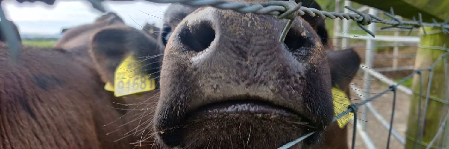 BarryJCassidy's profile banner image