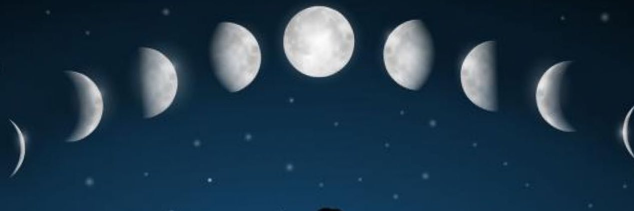 ريوف ع. العيسى banner