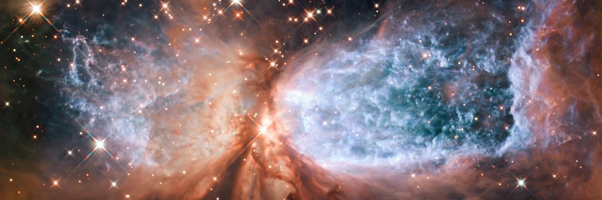 lis_engedi's profile banner image