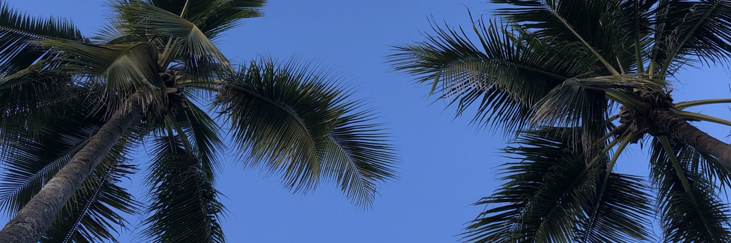jennlimx's profile banner image