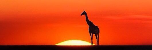 _Linaz12's profile banner image