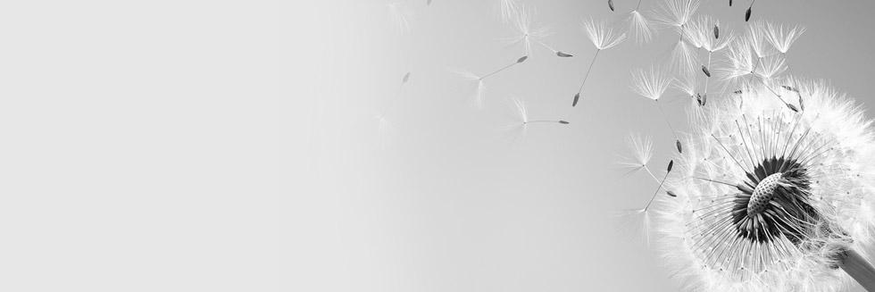 RaagRichaKa's profile banner image