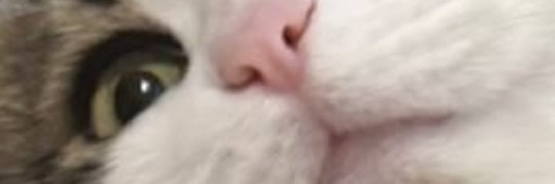 axXcn94's profile banner image