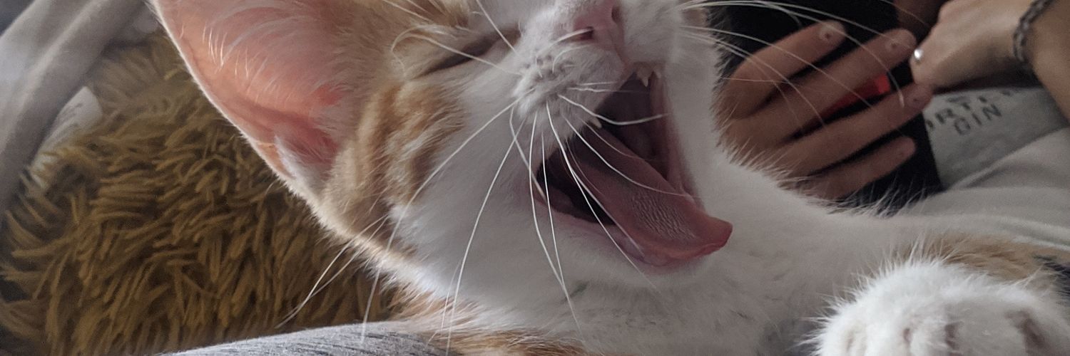 willmeredith3's profile banner image