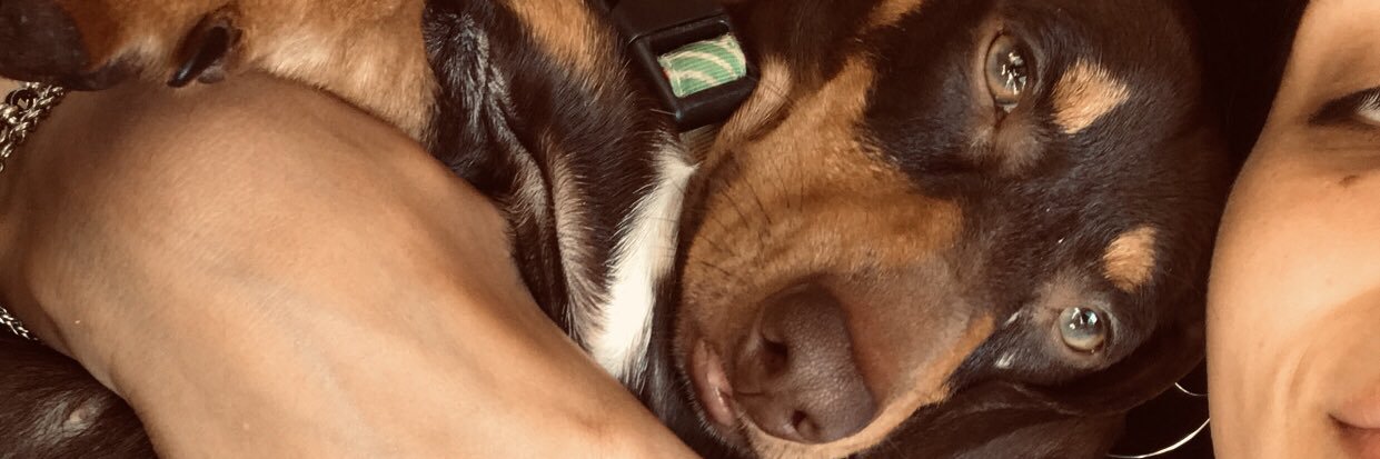 CamilaTimo2's profile banner image