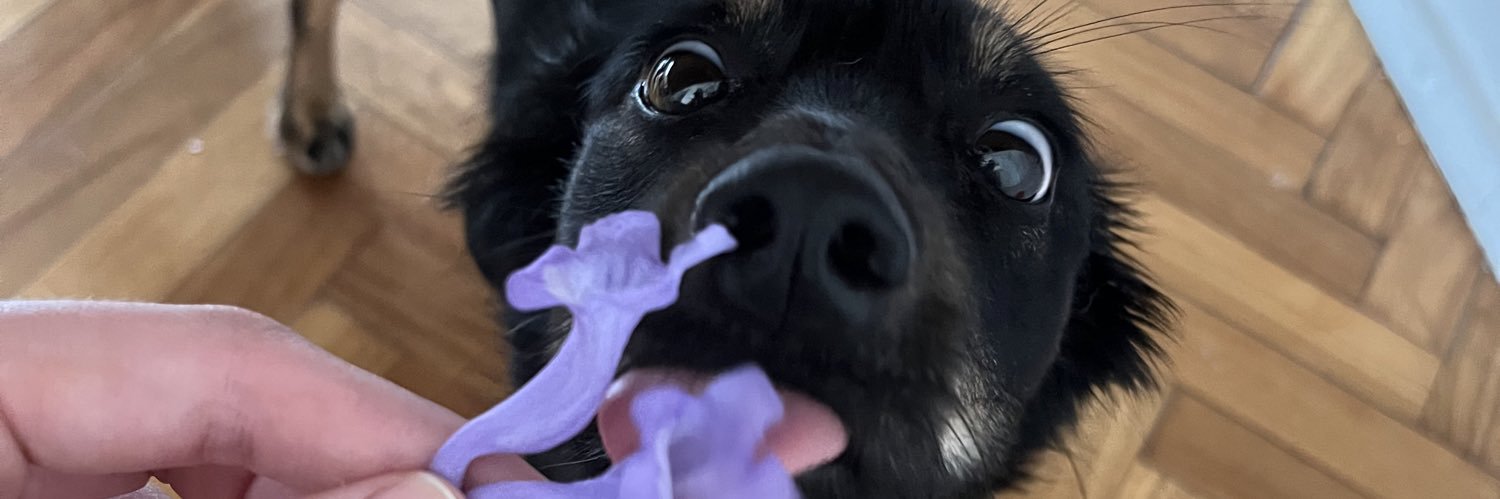 consuaguiar's profile banner image