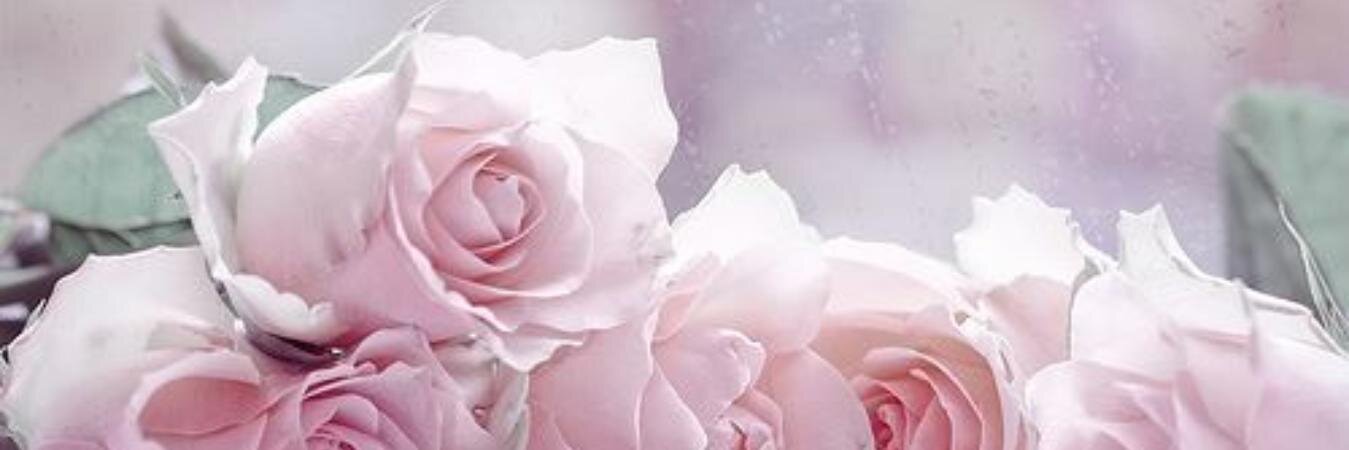 tsufae's profile banner image