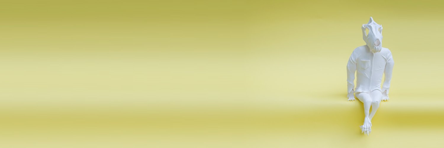 Fernanda Cortes banner