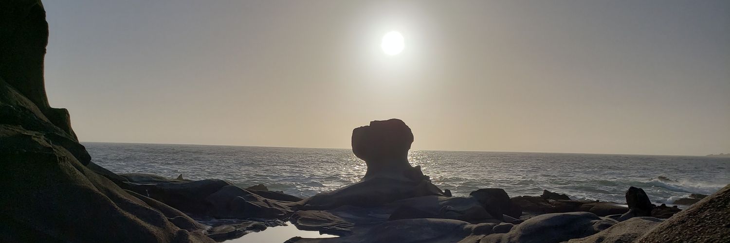 xPoMox's profile banner image