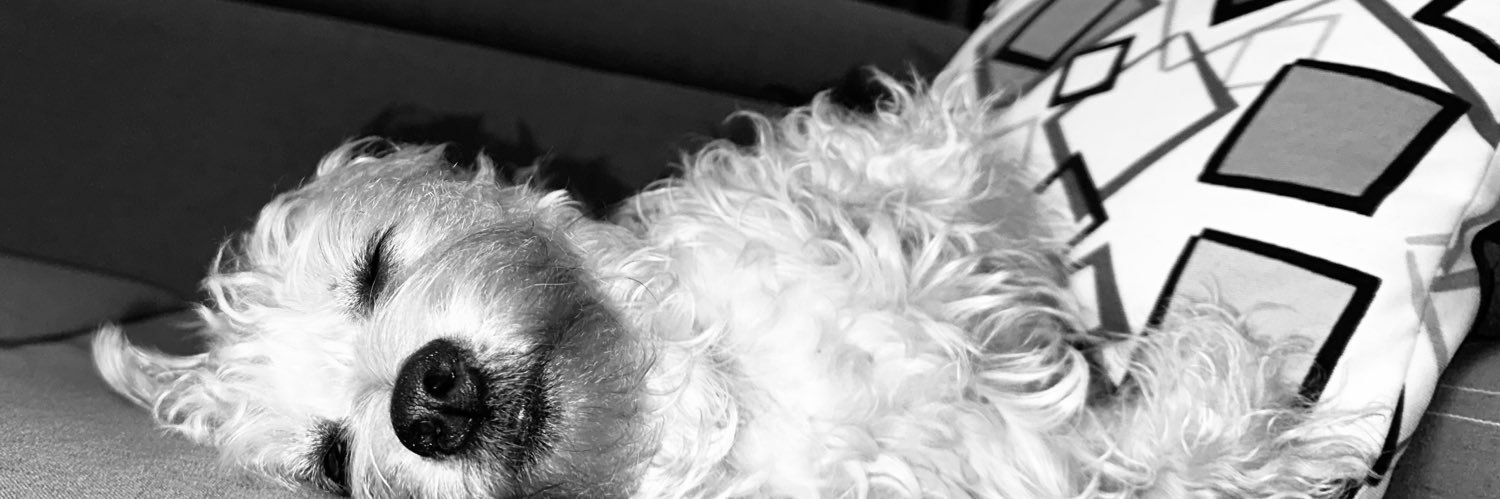 _AngelicaLopezC's profile banner image