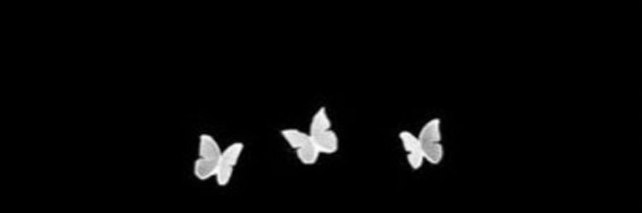 sabrinalocc_'s profile banner image