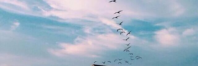 asmaa14199's profile banner image