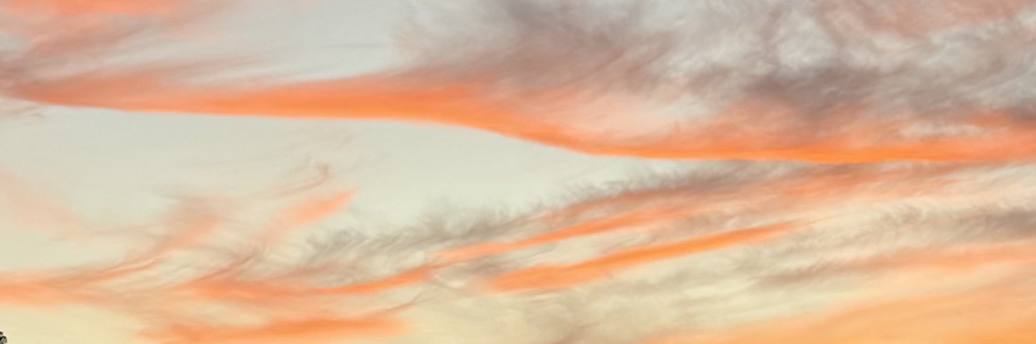 excessxo's profile banner image