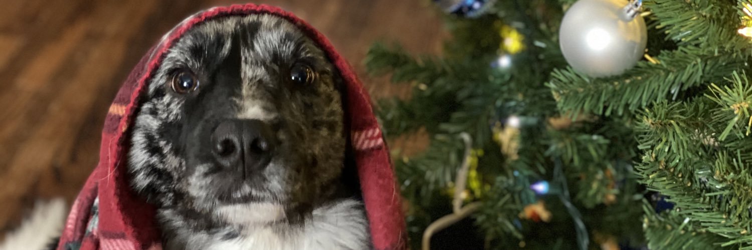 mlindyy's profile banner image