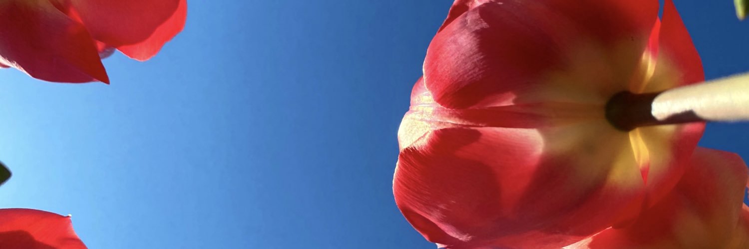 MadisonArtist's profile banner image