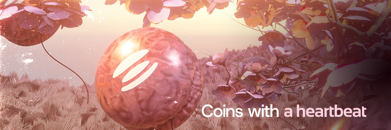 perpspadfunsol's profile banner image