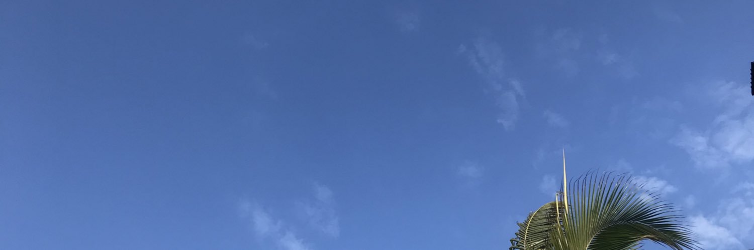 dayanaraTS's profile banner image