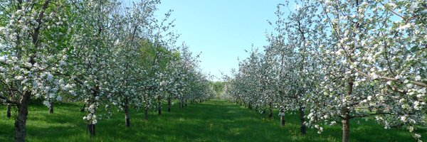 FarnumHillCider Profile Banner