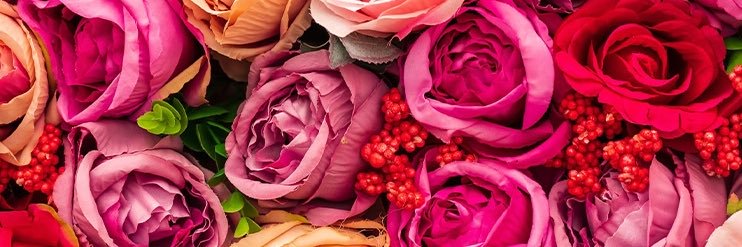 Patricia Moran banner