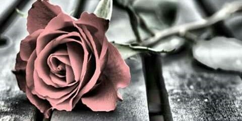 Dhey29_95's profile banner image