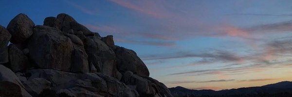 _missroya Profile Banner