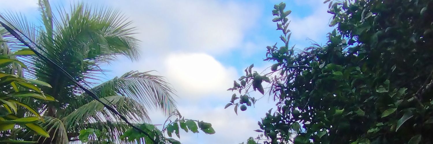 elysangyla's profile banner image