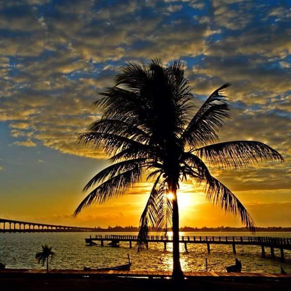 nelma_nick's profile banner image