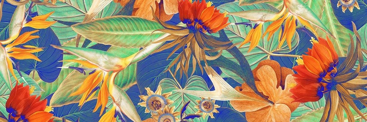 ninaloxe's profile banner image