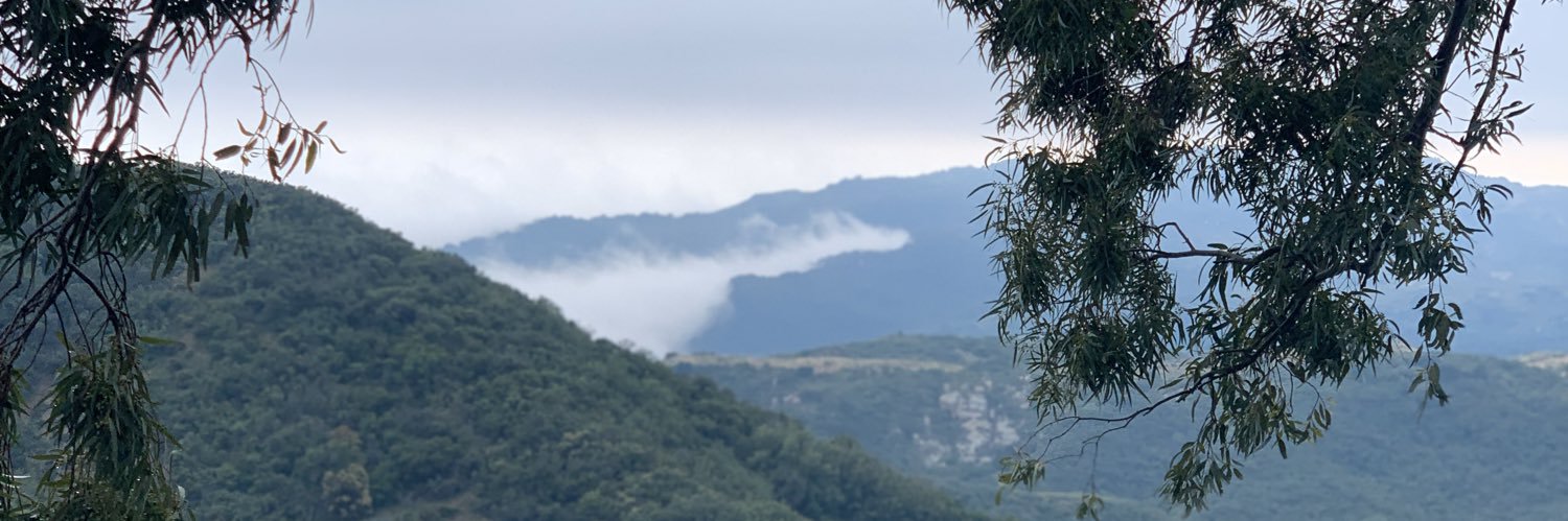 katmckn's profile banner image